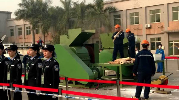 中国销毁6.15吨象牙