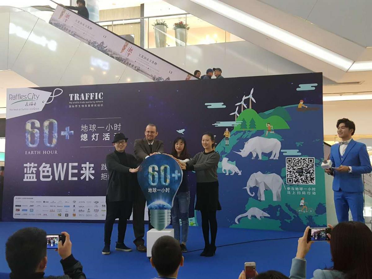 北京来福士携手TRAFFIC 举办野生动物折纸艺术展