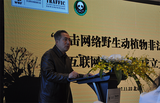 中国互联网巨头发起“打击网络非法野生物贸易”互联网企业联盟