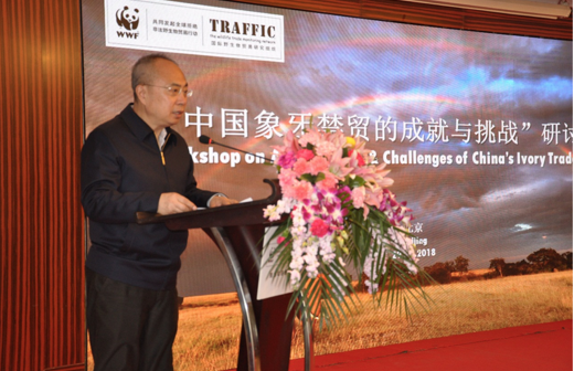 “中国象牙禁贸的成就与挑战”研讨会在京举行