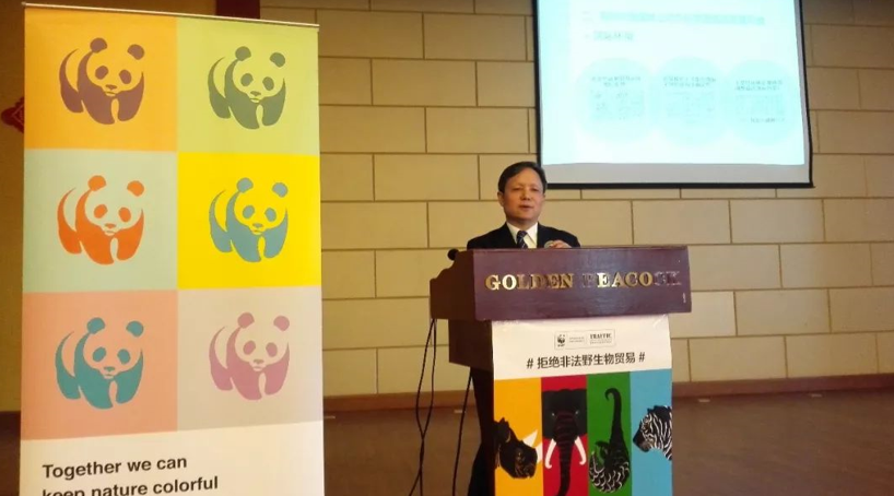 中国携手莫桑比克和赞比亚共同促进濒危物种履约和森林资源可持续贸易