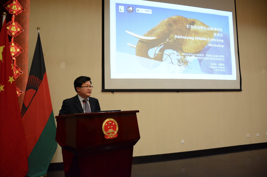 中国联合坦桑尼亚和马拉维共同遏制非法野生物贸易