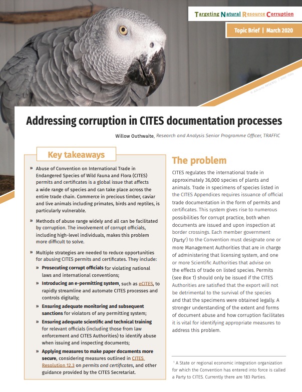 Addressing corruption in CITES documentation processes