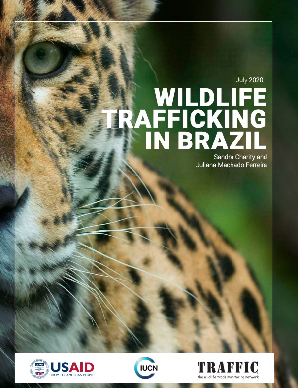 巴西的野生动物非法贩运问题（译）