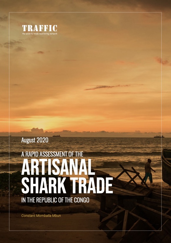 A Rapid Assessment of the Artisanal Shark Trade in the Republic of the Congo