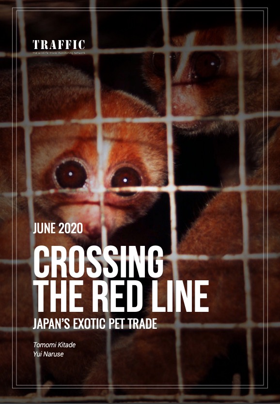 Crossing The Red Line - Japan’s Exotic Pet Trade