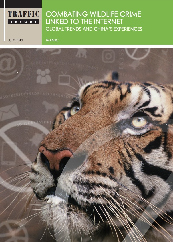 Combating Wildlife Crime linked to the internet