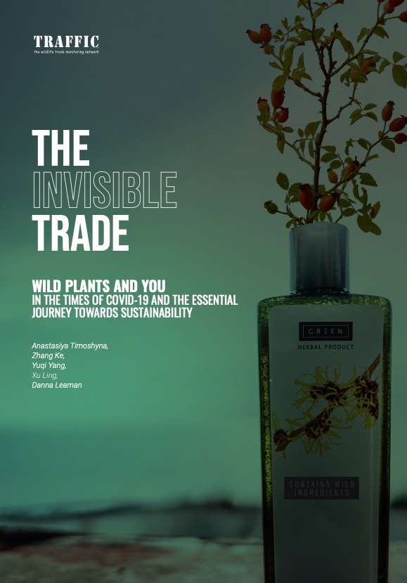 The Invisible Trade:Wild plants and you in the times of COVID-19 and the essential journey towards sustainability