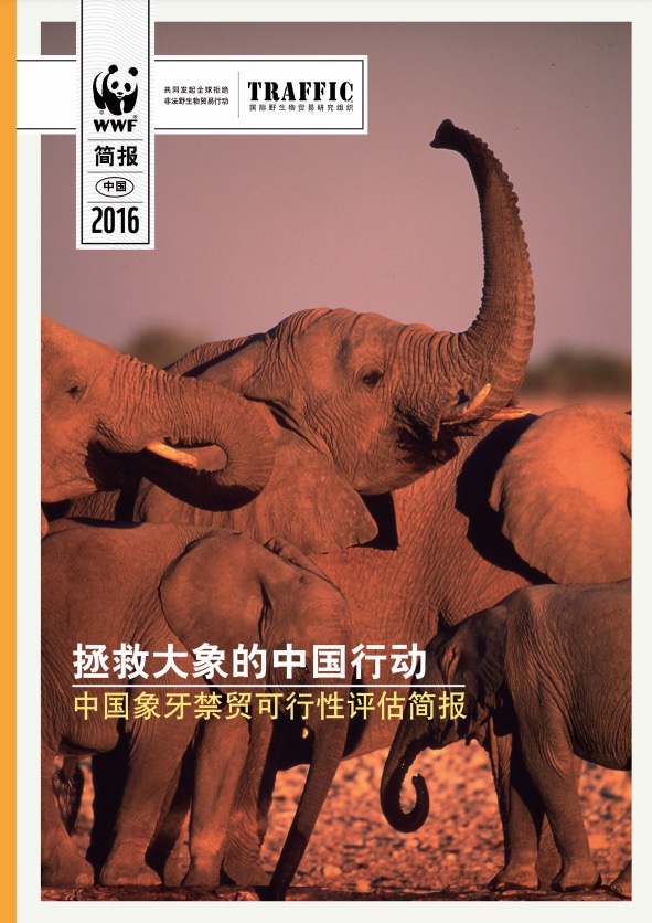 拯救大象的中国行动——中国象牙禁贸可行性评估简报