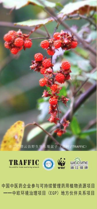 中国中医药企业参与可持续管理药用植物资源项目宣传页