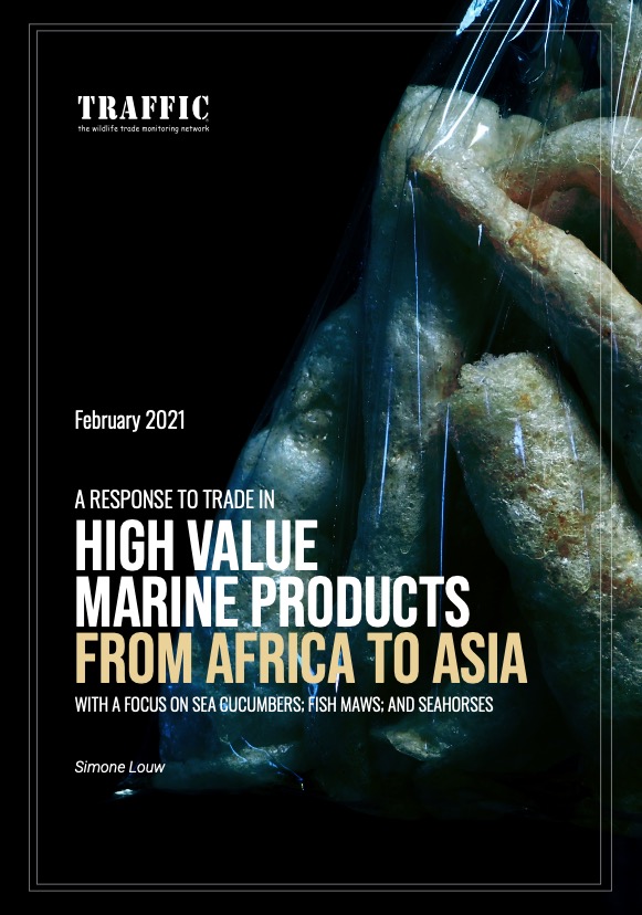High Value Marine Products From Africa To Asia