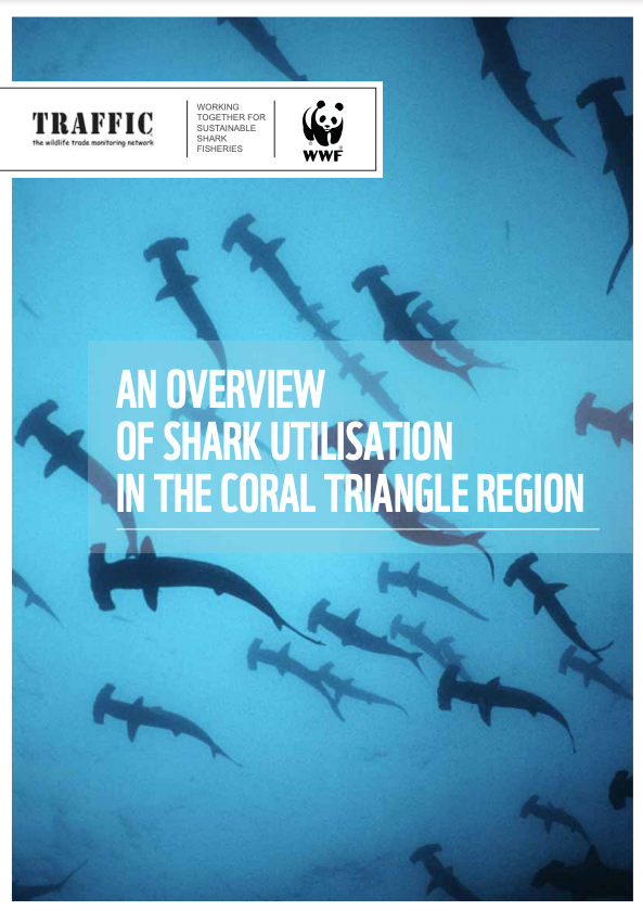 关于珊瑚三角洲区域的捕鲨研究