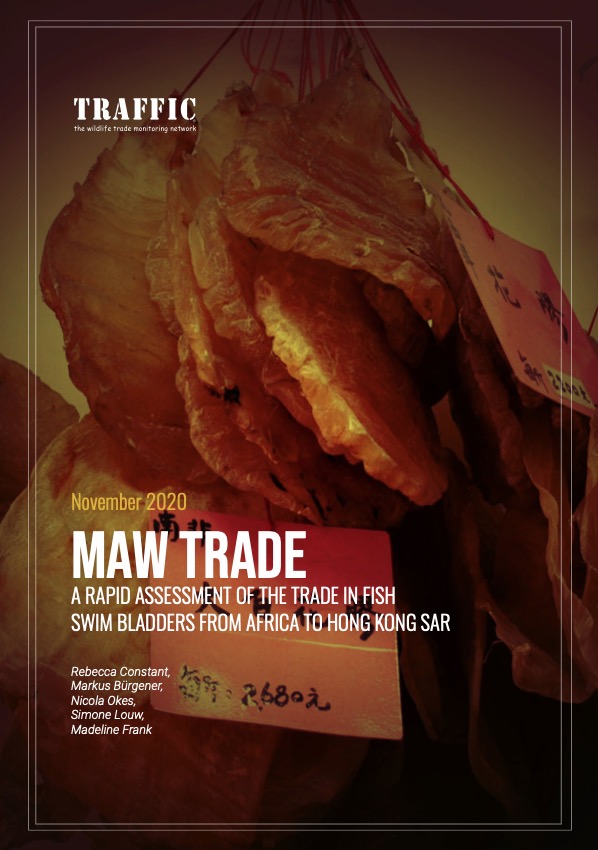 Maw Trade (November 2020)