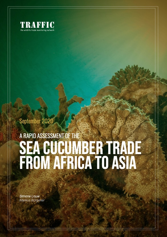 A Rapid Assessment Of The Sea Cucumber Trade From Africa To Asia