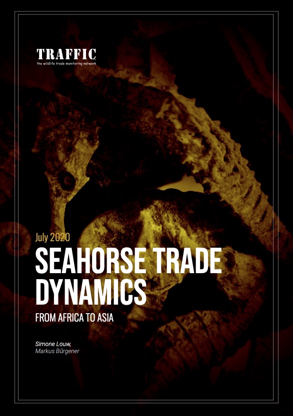 Seahorse Trade Dynamics From Africa To Asia