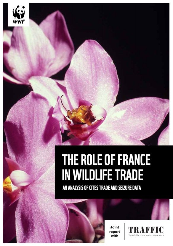 法国在野生物贸易中扮演的角色：对CITES附录物种的贸易与查获数据分析（译）