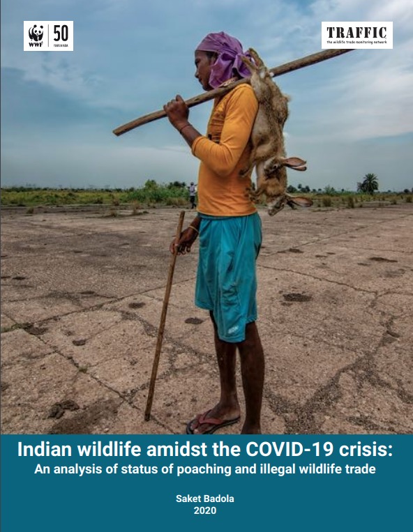 新冠肺炎危机中的印度野生动物：偷猎和非法野生动物贸易分析（译）