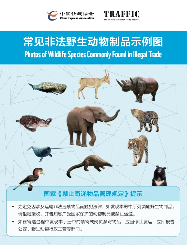 常见非法野生动物制品示例图
