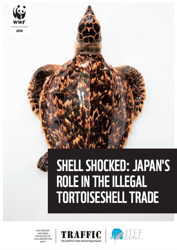 龟甲真相：日本在非法玳瑁贸易中扮演的角色（译）