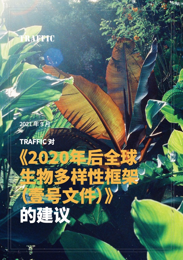 TRAFFIC对《2020年后全球生物多样性框架 （壹号文件）》的建议