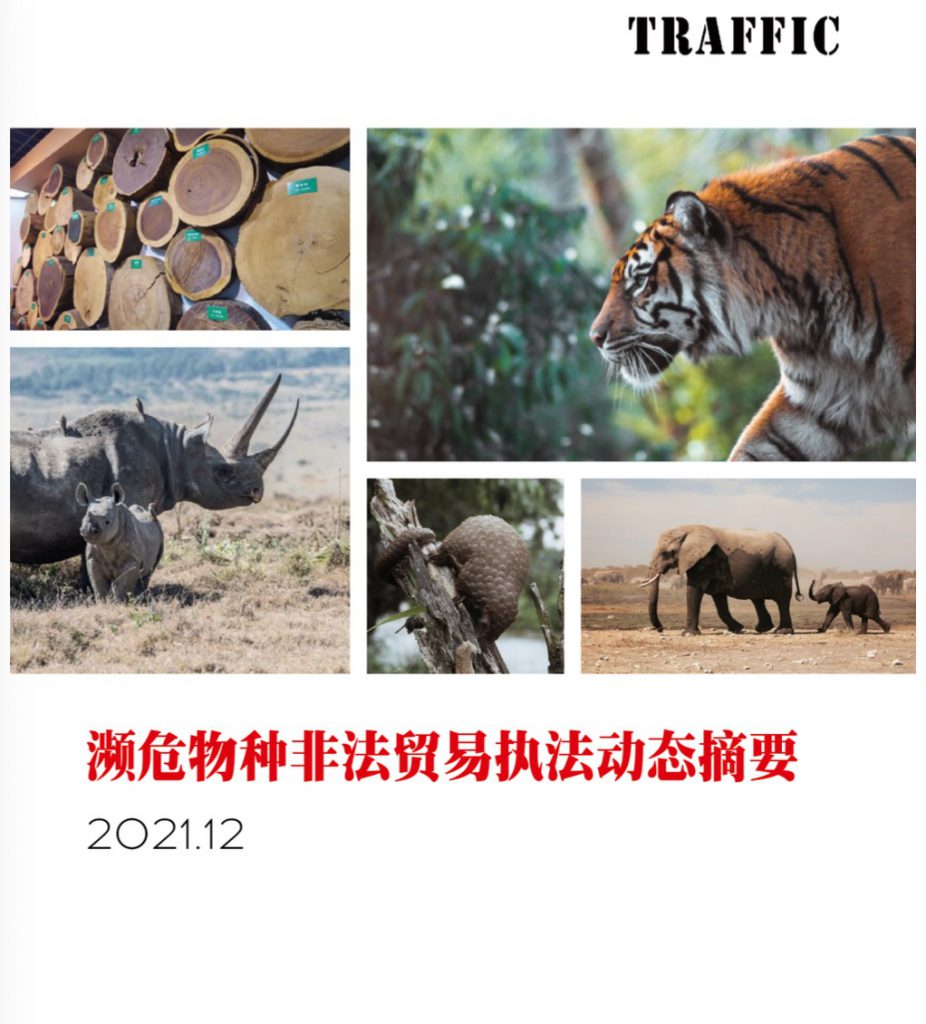 濒危物种非法贸易执法动态摘要（2021年12月）