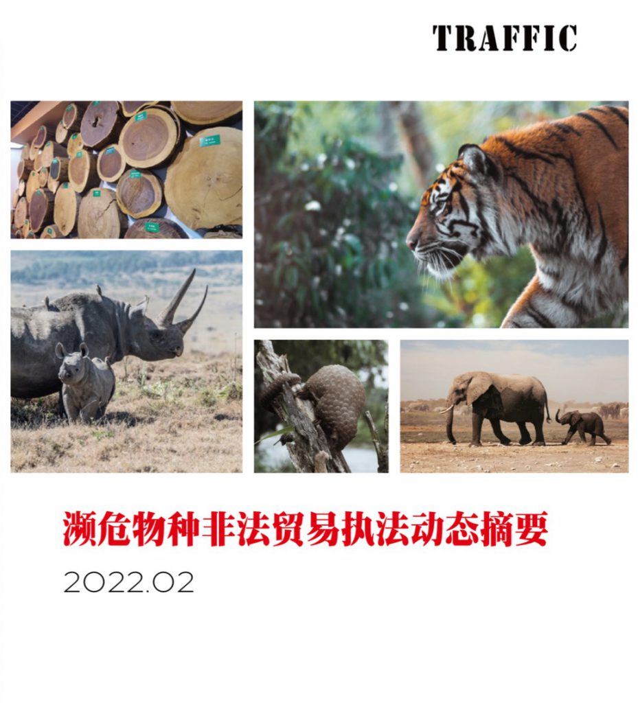 濒危物种非法贸易执法动态摘要（2022年2月）