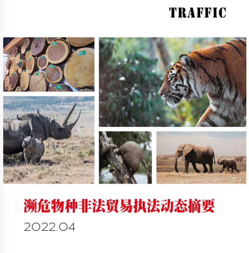 濒危物种非法贸易执法动态摘要（2022年4月）