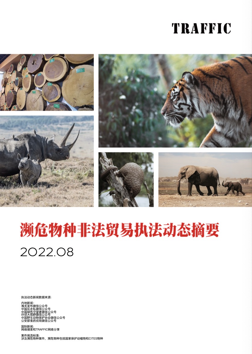 濒危物种非法贸易执法动态摘要（2022年8月）