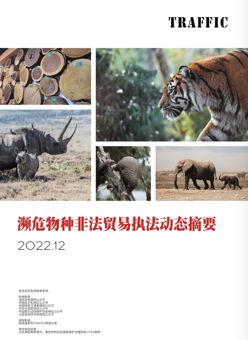 濒危物种非法贸易执法动态摘要（2022年12月）