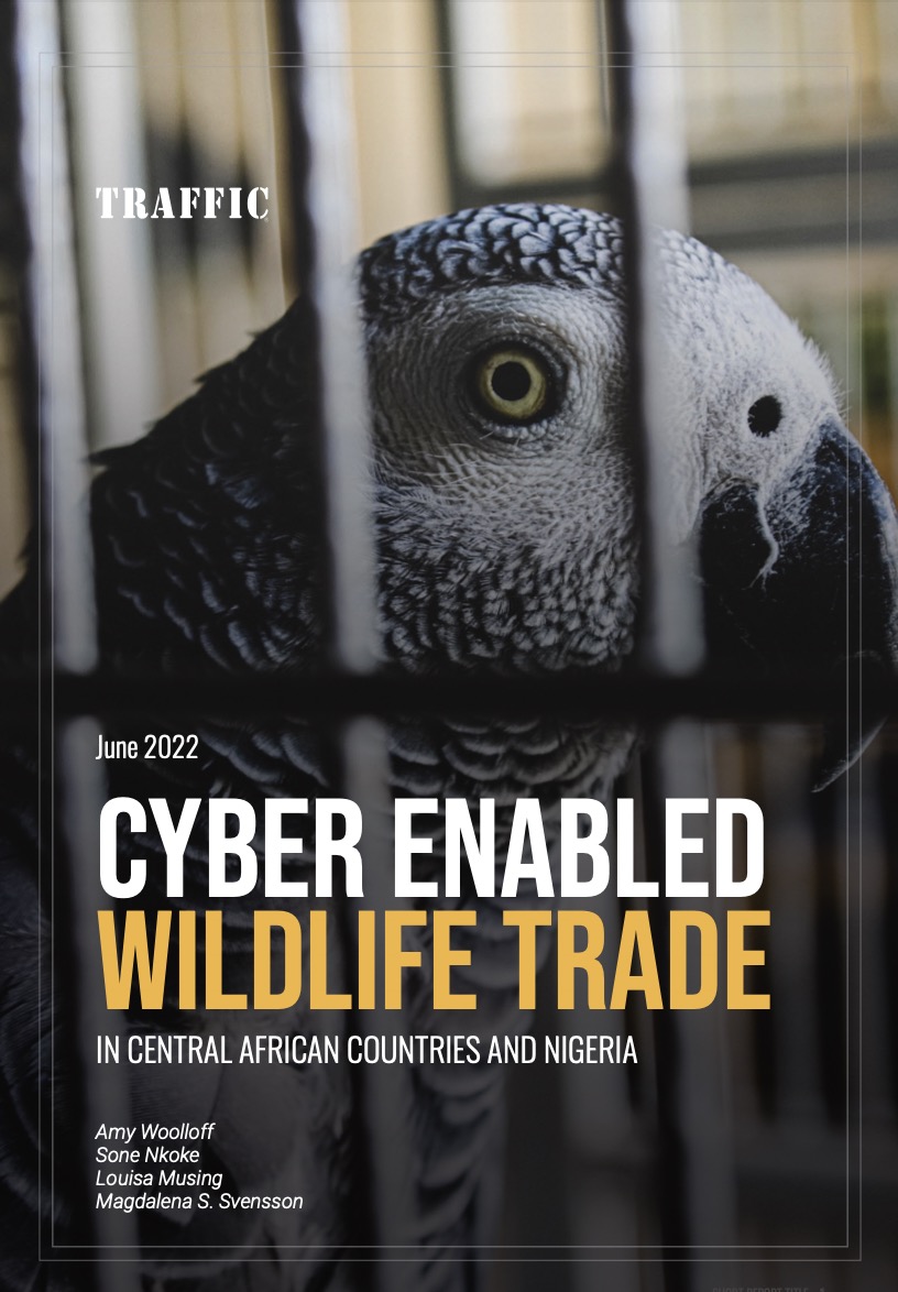 《中非国家和尼日利亚的网络野生动植物贸易（译）》