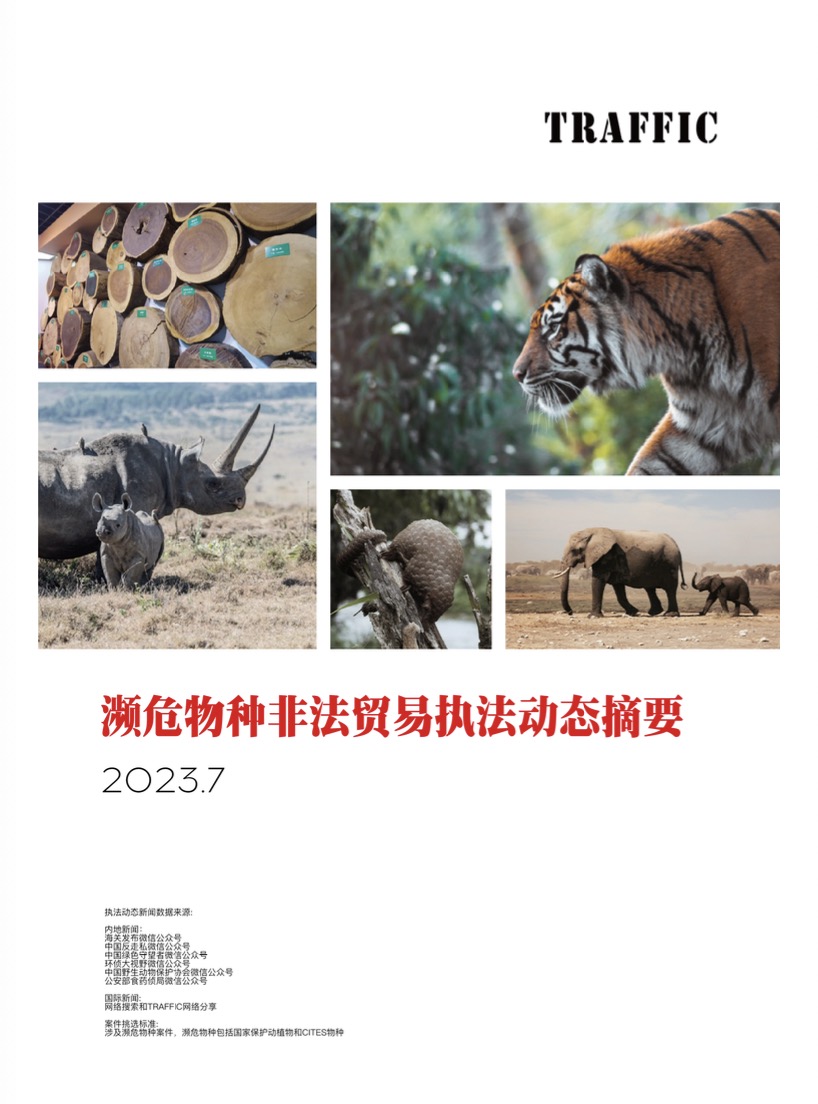 濒危物种非法贸易执法动态摘要（2023年7月）