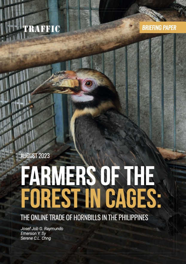 《鸟笼里的雨林建造者：菲律宾的犀鸟网络贸易》译