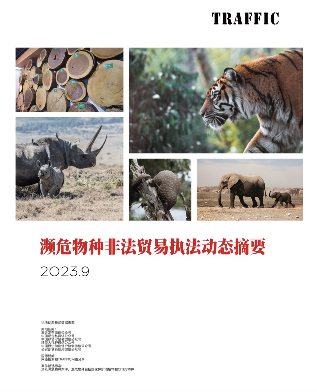 濒危物种非法贸易执法动态摘要（2023年9月）