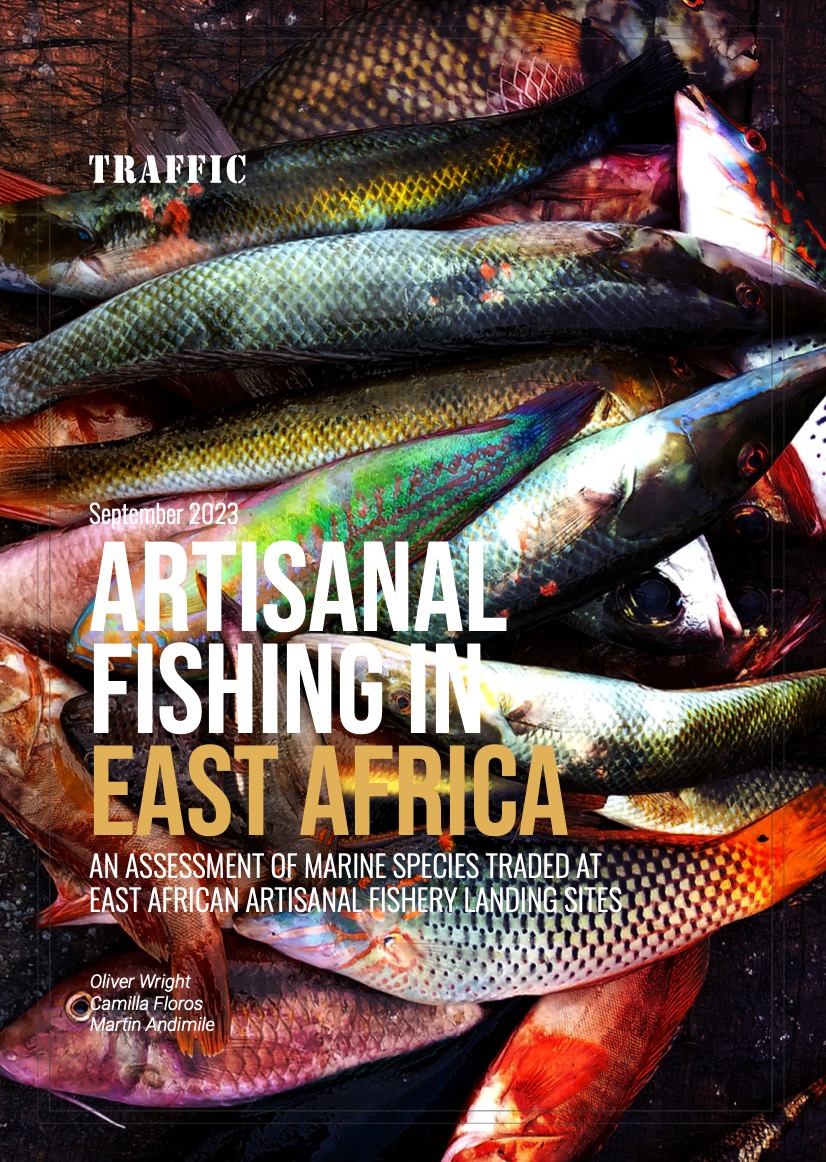 《东非手工渔业：东非手工渔业近岸交易点的海洋物种评估（译）》