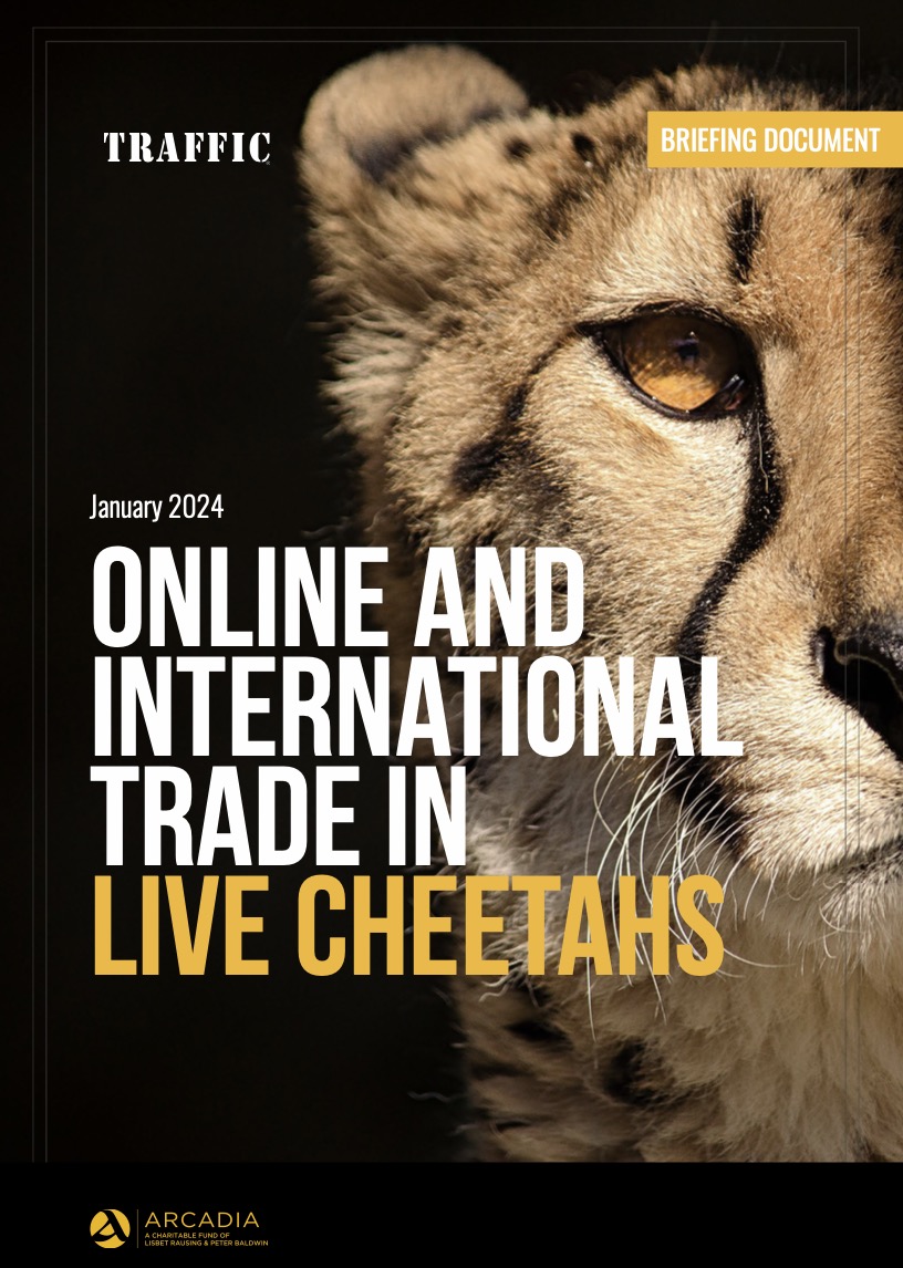 《网络猎豹活体贸易以及国际贸易（译）》