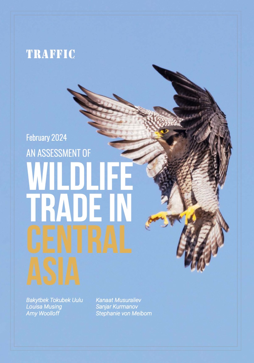 《中亚野生动植物贸易评估报告（译）》