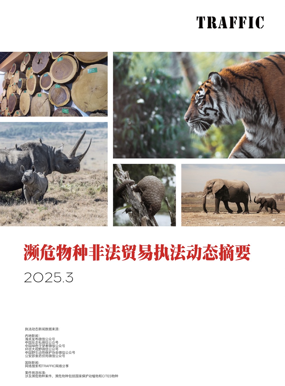 濒危物种非法贸易执法动态摘要（2025年3月）