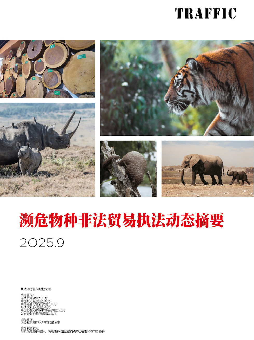 濒危物种非法贸易执法动态摘要（2025年9月）